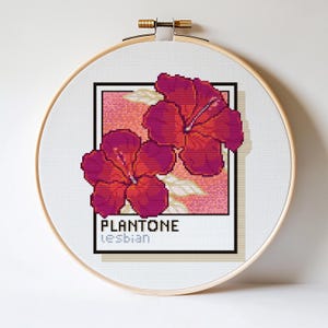 Könnte beinhalten: Ein Kreuzstich-Stickrahmen mit einem floralen Design. Das Kunstwerk zeigt zwei leuchtend rote und pinkfarbene Hibiskusblüten in einem schwarz umrandeten Quadrat, vor einem rosa Farbverlauf. Der Text "PLANTONE lesbian" ist darunter abgebildet.