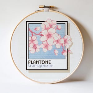 Könnte beinhalten: Ein Kreuzstich-Stickrahmen mit floralem Design. Das Kunstwerk zeigt rosa Kirschblüten vor einem hellblauen Hintergrund, darunter der Text "PLANTONE transgender". Der Rahmen ist aus Holz gefertigt und hat einen Metallspannmechanismus.