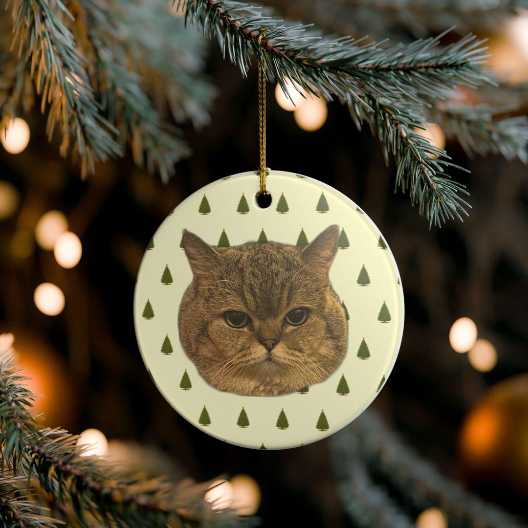 Funny Custom Cat Ornament – Personalized Cat Face Christmas Ornament ...