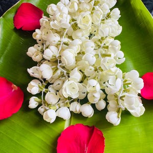 Op de afbeelding: Een slinger van kleine witte jasmijnbloemen geregen aan een dunne witte draad, rustend op een groot groen bananenblad naast verschillende verspreide felrode rozenblaadjes, wat zorgt voor een contrast in kleuren en texturen.