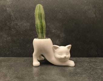 Cat Nap Planter – 3D Printed Kitty Pot for Small Plants