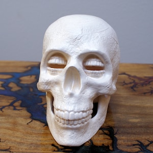 Sandman - The Corinthian Skull Collectable