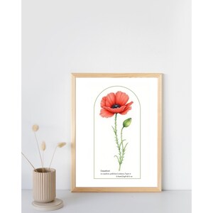 Poppy Poster