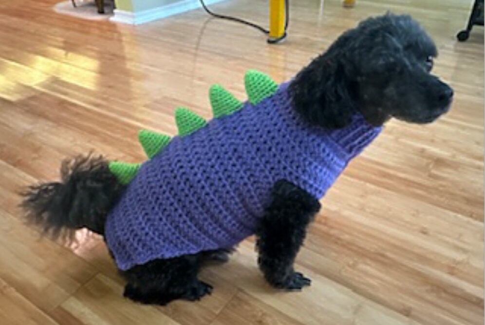 Dinosaur Dog Sweater, Crochet Pattern, S, M, L, XL