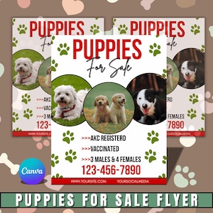 Könnte beinhalten: Werbeflyer für den Verkauf von Welpen. Das Design zeigt den Text "Puppies For Sale" in Rot und Schwarz, mit Bildern von Welpen in kreisförmigen Rahmen. Kontaktinformationen und Pfotenabdruckgrafiken sind ebenfalls vorhanden.