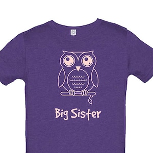 Big Sister Shirt Multiple Colors Available Kids Owl Big Sister T shirt Big Sister Tee Big Sister Gift Great Gift for Girls image 1