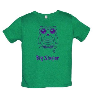 Big Sister Shirt Multiple Colors Available Kids Owl Big Sister T shirt Big Sister Tee Big Sister Gift Great Gift for Girls image 3