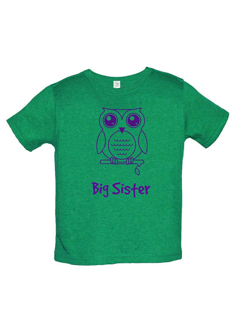 Big Sister Shirt Multiple Colors Available Kids Owl Big Sister T shirt Big Sister Tee Big Sister Gift Great Gift for Girls image 3