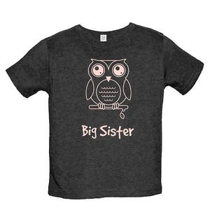 Big Sister Shirt Multiple Colors Available Kids Owl Big Sister T shirt Big Sister Tee Big Sister Gift Great Gift for Girls image 2