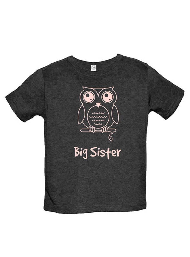 Big Sister Shirt Multiple Colors Available Kids Owl Big Sister T shirt Big Sister Tee Big Sister Gift Great Gift for Girls image 2