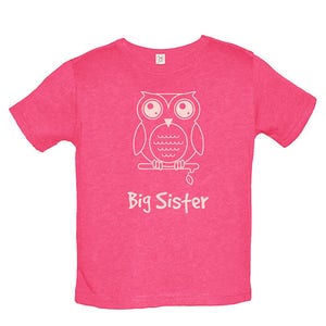 Big Sister Shirt Multiple Colors Available Kids Owl Big Sister T shirt Big Sister Tee Big Sister Gift Great Gift for Girls image 4