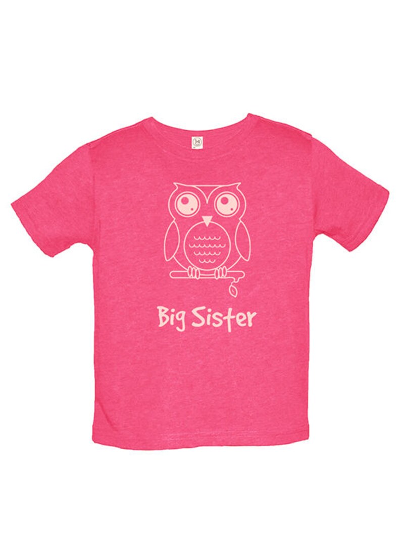 Big Sister Shirt Multiple Colors Available Kids Owl Big Sister T shirt Big Sister Tee Big Sister Gift Great Gift for Girls image 4