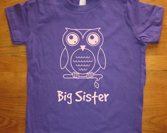 Big Sister T Shirt - 8 Colors Available - Kids Owl Big Sister Shirt Sizes 2T, 4T, 6, 8, 10, 12 - Gift Friendly