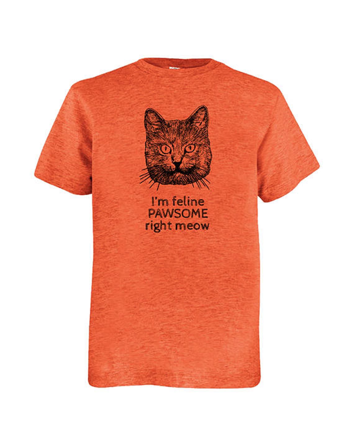 Funny Cat Shirt Boys Youth Shirt Cat Joke Multiple Etsy