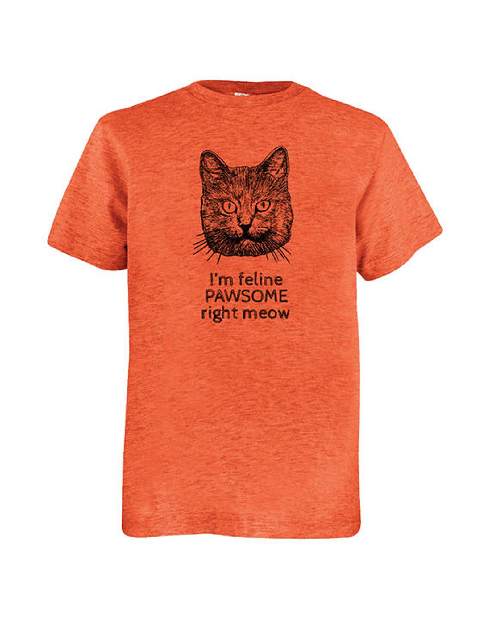 Funny Cat Shirt Boys Youth Shirt Cat Joke Multiple Etsy