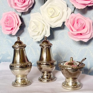 Könnte beinhalten: Ein silbernes Salz- und Pfefferstreuer-Set mit einer passenden Zuckerdose und einem Löffel. Das Set hat aufwendige Details und steht auf einer weißen Oberfläche. Rosa und weiße Rosen sind im Hintergrund.