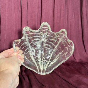 Könnte beinhalten: Klares Glasgeschirr in Form einer Muschel. Das Geschirr hat ein detailliertes, strukturiertes Design mit Rippen und Kurven, das einer echten Muschel ähnelt. Vor einem dunkelroten Stoffhintergrund.