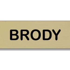 BRODY Chief of Police in Amity Island Halloween Costume Name Badge with a pin Fastener