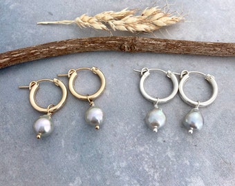 Pearl hoop earrings, ice blue Akoya pearls, gold or silver huggie hoops, pearl drop earrings, 15mm diameter hoop E567G-H