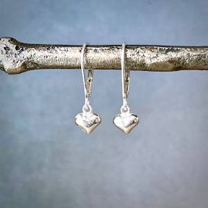 May include: A pair of silver heart-shaped earrings. Each earring features a small, polished heart pendant suspended from a lever-back closure. The earrings are displayed against a blurred, light blue background.