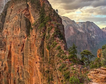 Impresión de Angels Landing en el Parque Nacional Zion / Arte mural del amanecer en Utah / Fotografía de paisajes de cañones / Descarga digital