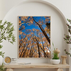 May include: A framed print of tall trees with golden leaves against a bright blue sky. The artwork is displayed on a wooden shelf with decorative items and greenery. The image captures a vibrant autumn scene.
