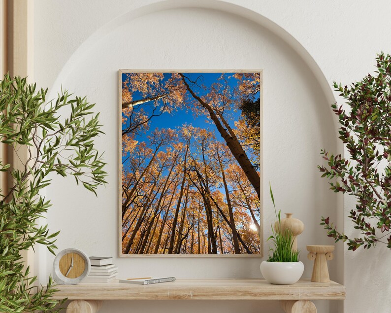 May include: A framed print of tall trees with golden leaves against a bright blue sky. The artwork is displayed on a wooden shelf with decorative items and greenery. The image captures a vibrant autumn scene.