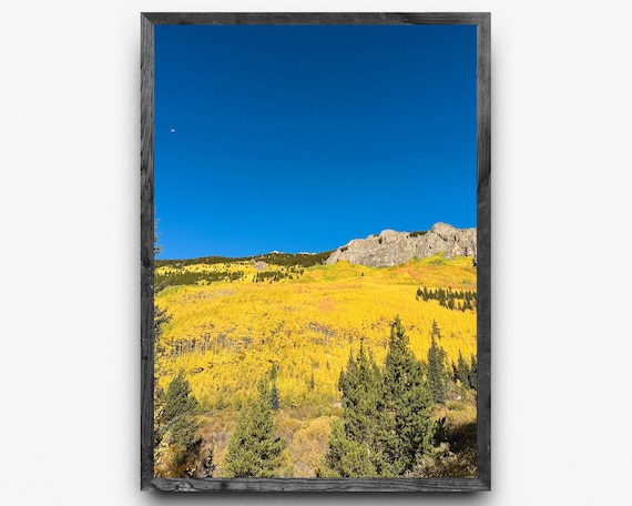 Colorado Fall Mountain Aspen Hillside | Fall Colors Photography | Vertical Wall Art | Digital Download