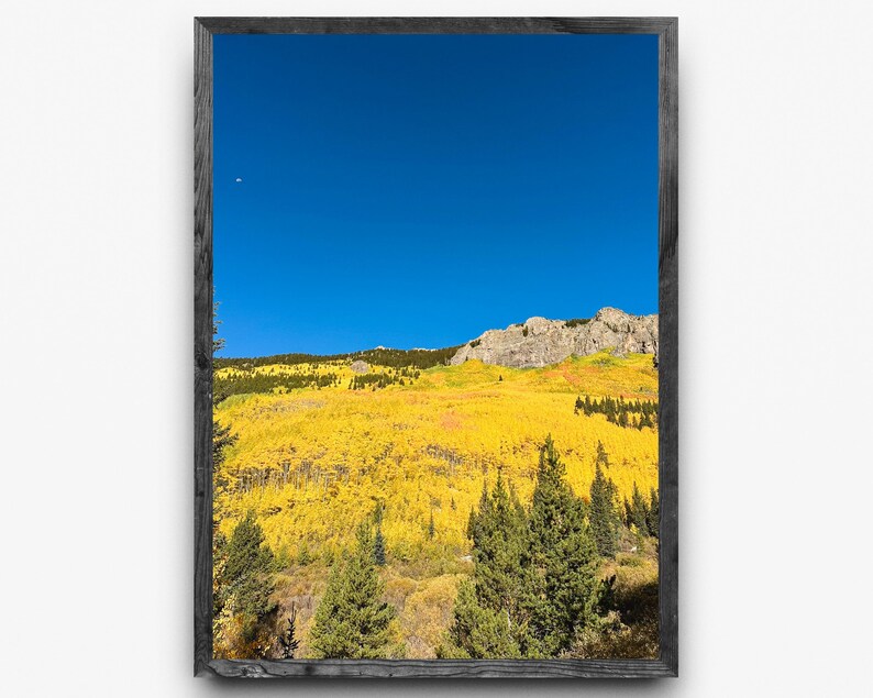 Op de afbeelding: Een ingelijste landschapsfoto met een levendige herfstsc&egrave;ne. De afbeelding toont een bergketen onder een heldere, helderblauwe lucht. De voorgrond is gevuld met gele bladeren, en er zijn groenblijvende bomen verspreid.