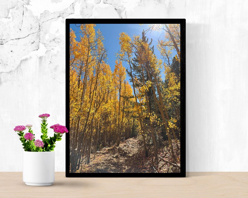 Gyllene aspleden i Colorado | Fotografi i höstfärger i Colorado | Vertikal väggkonst | Digital nedladdning bild 4
