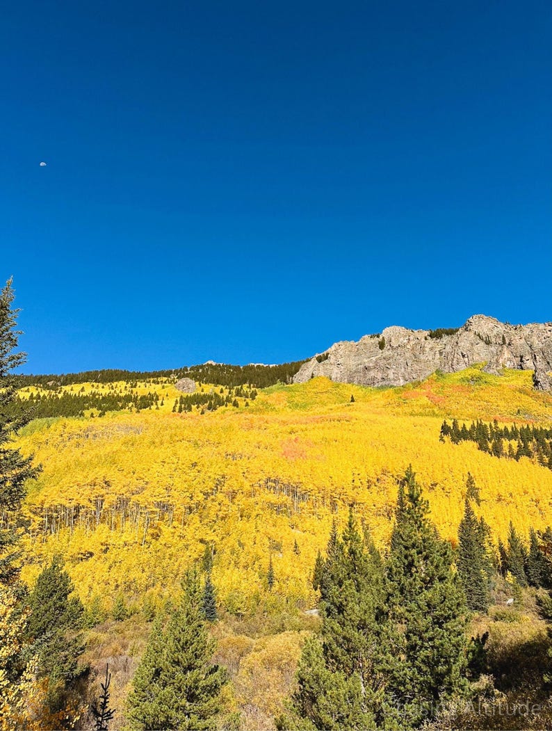 Op de afbeelding: Een berglandschap met levendige gele herfstbladeren onder een heldere, blauwe lucht. Groenblijvende bomen omlijsten de voorgrond, met een halve maan zichtbaar in de lucht.
