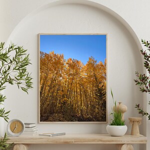 May include: A framed print displays a vibrant autumn scene of tall trees with golden yellow leaves against a clear blue sky. The artwork is displayed on a light-colored wooden shelf with decorative items and greenery.