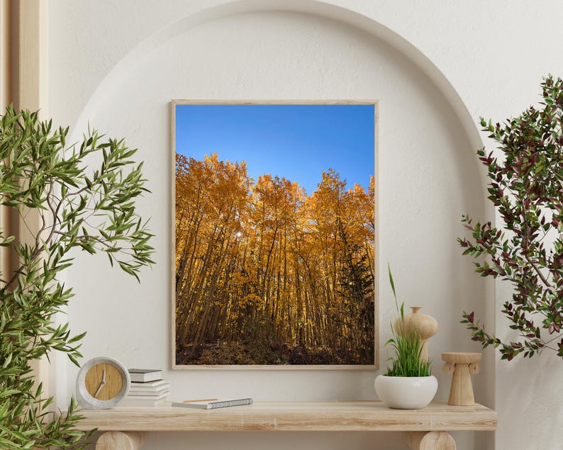 May include: A framed print displays a vibrant autumn scene of tall trees with golden yellow leaves against a clear blue sky. The artwork is displayed on a light-colored wooden shelf with decorative items and greenery.