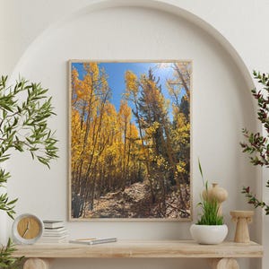 Gyllene aspleden i Colorado | Fotografi i höstfärger i Colorado | Vertikal väggkonst | Digital nedladdning bild 3