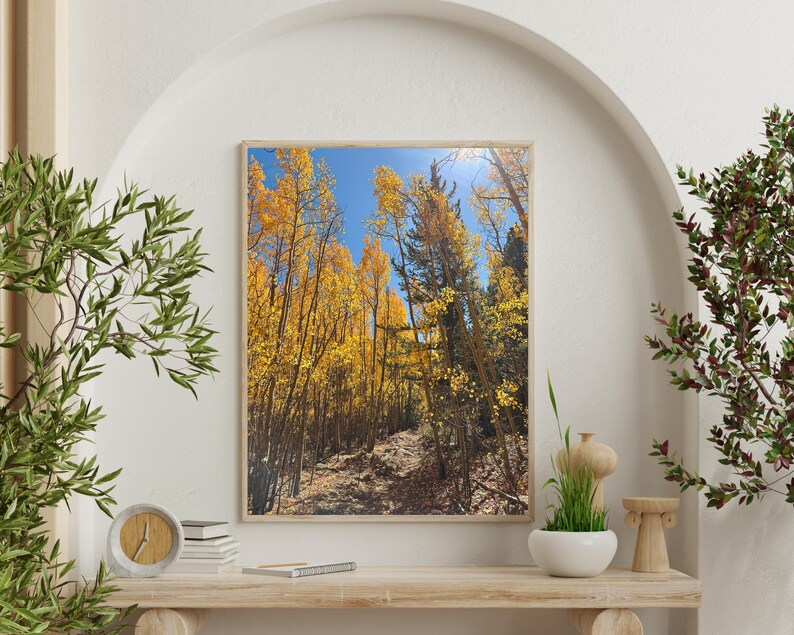 Gyllene aspleden i Colorado | Fotografi i höstfärger i Colorado | Vertikal väggkonst | Digital nedladdning bild 3