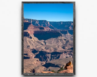 Mirador de vida silvestre del Gran Cañón / Paisaje del desierto de Arizona / Arte mural de ardillas / Impresión fotográfica digital
