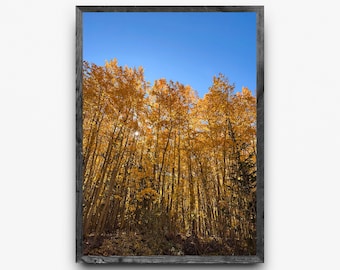 Gouden Aspen Grove | Colorado herfstkleuren fotografie | Verticale muurkunst | Digitale download