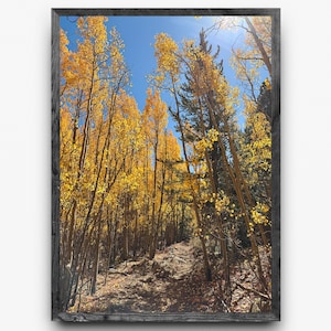 Gyllene aspleden i Colorado | Fotografi i höstfärger i Colorado | Vertikal väggkonst | Digital nedladdning bild 1