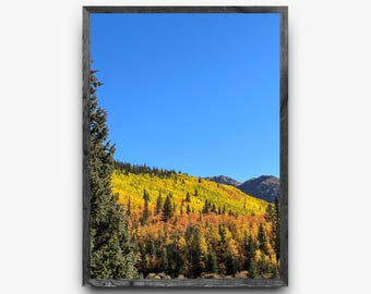 Colorado Fall Colors Rainbow | Autumn Aspen Grove Mountainside | Vertical Landscape Wall Art | Digital Download