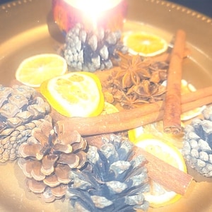 Orange & Spice Botanical Potpourri