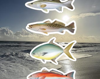 May include: Four fish stickers against a beach background. The stickers feature a snook, speckled trout, permit, and redfish. The fish are in various colors, including silver, green, yellow, and red. The background shows the ocean, sand, and a cloudy sky.