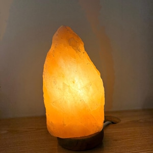 Natural Himalayan Salt Night Light