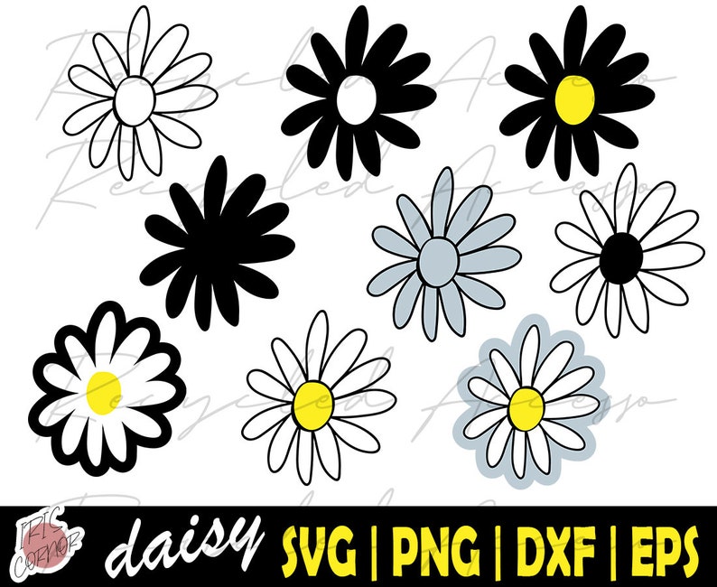 Daisy Bundle Svg Daisy Svg Bundle Monogram Frame Split | Etsy