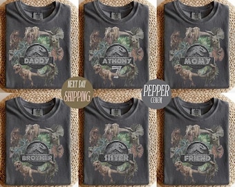 Vintage Custom Jurassic Park Birthday Family Shirts, Dinosaur T-Rex Party Tee, Jurassic World Disneyland Trip Shirt, Matching Outfit