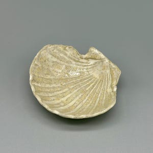 May include: A small, white ceramic dish shaped like a seashell. The dish has a textured surface and a slightly iridescent glaze.