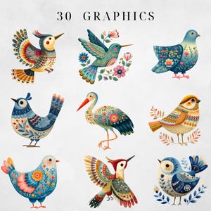 May include: A collection of nine watercolor bird illustrations with intricate patterns and floral accents. The birds feature a variety of colors, including blue, orange, and green, and are set against a white background. The text "30 GRAPHICS" is at the top.
