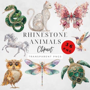 May include: A collection of rhinestone animal clip art images, including a green snake, a silver cat, a pink butterfly, a silver horse, a hummingbird, an owl, a dragonfly, and a green turtle. The text "Rhinestone Animals Clipart" is displayed.