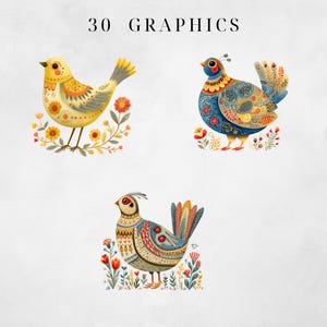 May include: Three colorful bird illustrations with floral accents. The birds feature intricate patterns in yellow, blue, and red, surrounded by flowers and foliage. The text "30 GRAPHICS" is at the top.