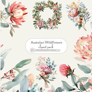 May include: Watercolor clipart pack featuring Australian wildflowers. The image showcases various floral arrangements, including bouquets and a wreath, in shades of pink, red, and green. The text "Australian Wildflowers clipart pack" is also visible.