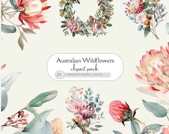 Watercolor Australian Native Flower Clipart, Wedding Flowers: Eucalyptus, Protea (PNG Digital Download)